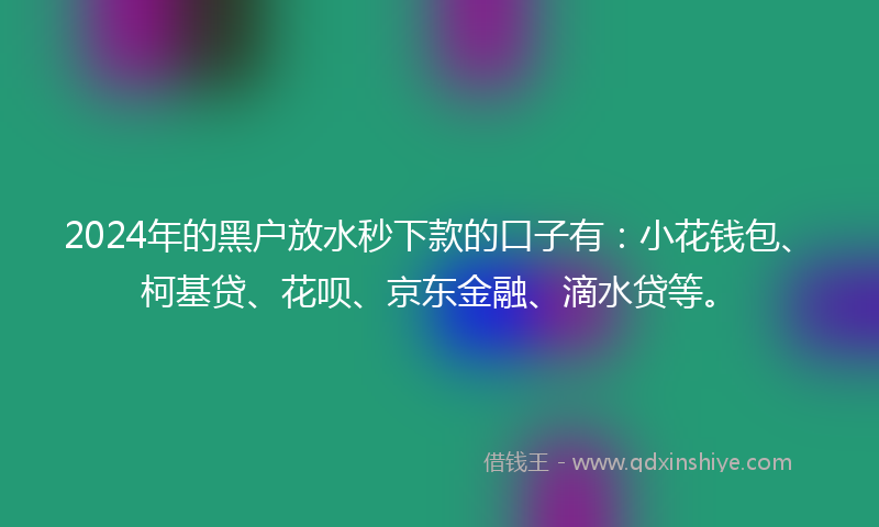 2024年的黑户放水秒下款的口子有：小花钱包、柯基贷、花呗、京东金融、滴水贷等。