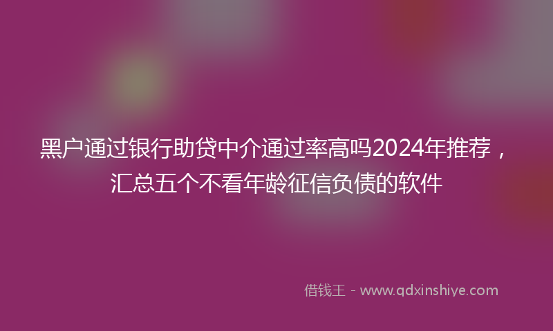 黑户通过银行助贷中介通过率高吗2024年推荐，汇总五个不看年龄征信负债的软件
