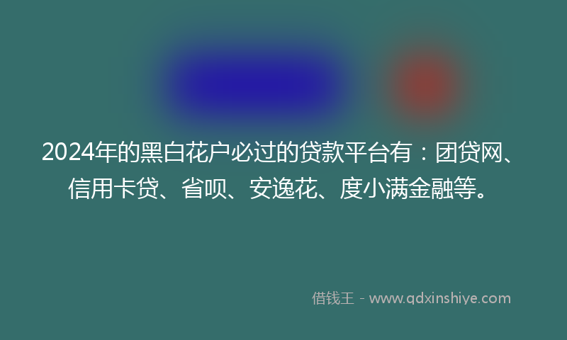 2024年的黑白花户必过的贷款平台有：团贷网、信用卡贷、省呗、安逸花、度小满金融等。