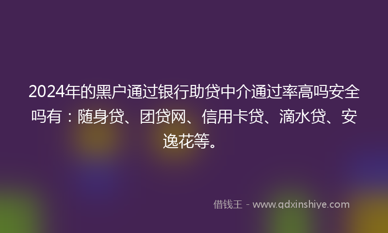 2024年的黑户通过银行助贷中介通过率高吗安全吗有：随身贷、团贷网、信用卡贷、滴水贷、安逸花等。