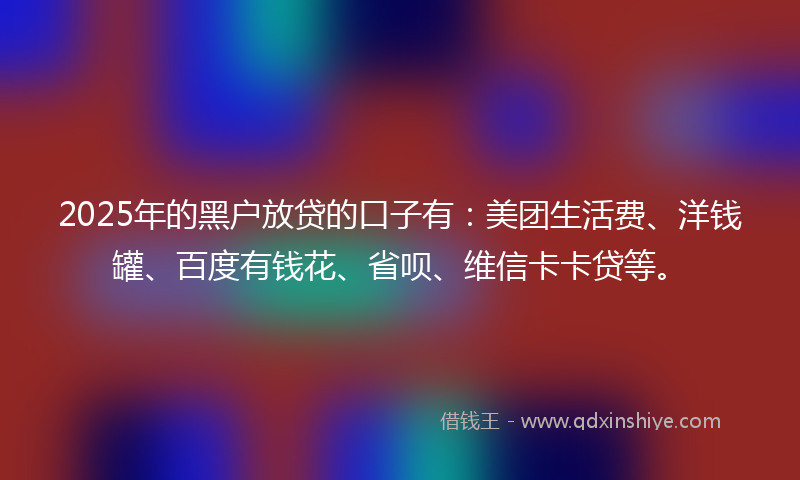 2025年的黑户放贷的口子有：美团生活费、洋钱罐、百度有钱花、省呗、维信卡卡贷等。