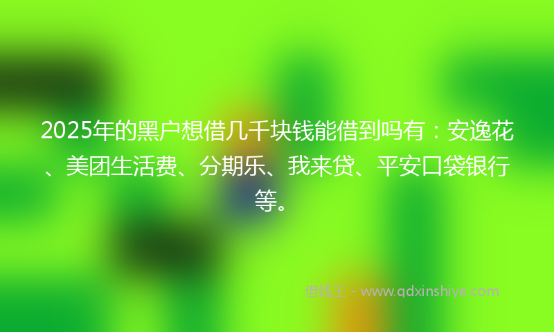 2025年的黑户想借几千块钱能借到吗有：安逸花、美团生活费、分期乐、我来贷、平安口袋银行等。