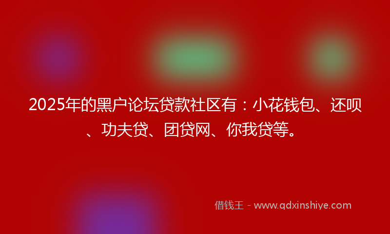 2025年的黑户论坛贷款社区有：小花钱包、还呗、功夫贷、团贷网、你我贷等。
