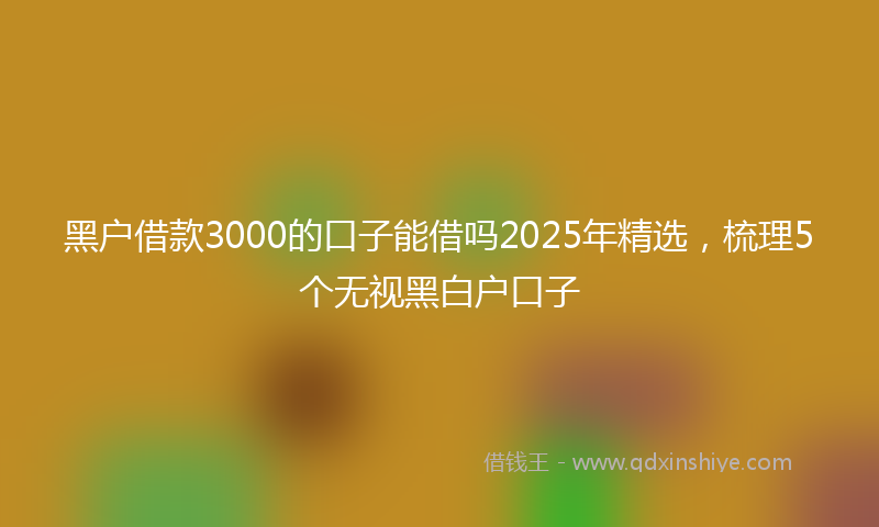 黑户借款3000的口子能借吗2025年精选，梳理5个无视黑白户口子
