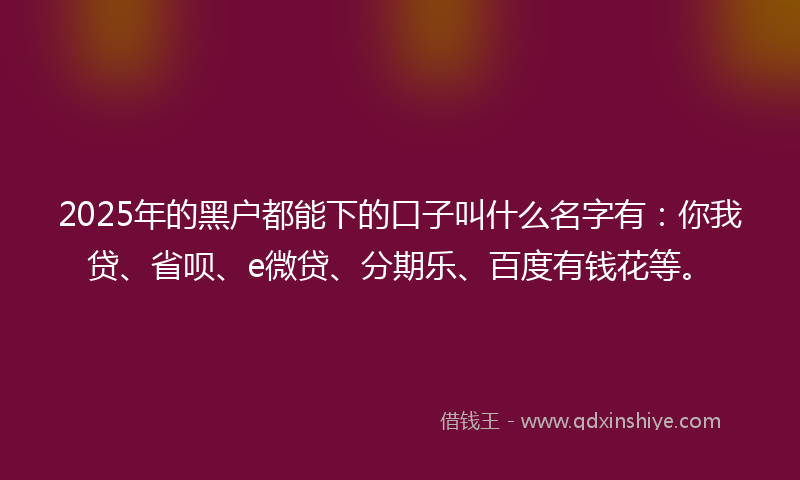 2025年的黑户都能下的口子叫什么名字有：你我贷、省呗、e微贷、分期乐、百度有钱花等。