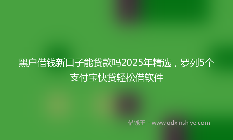 黑户借钱新口子能贷款吗2025年精选，罗列5个支付宝快贷轻松借软件