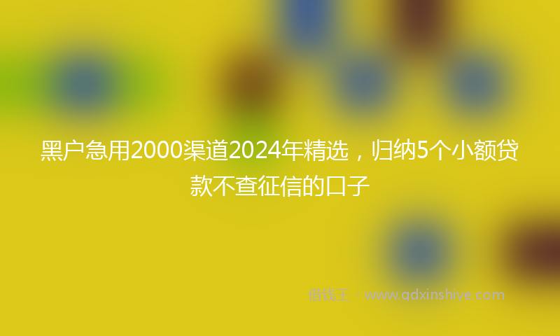 黑户急用2000渠道2024年精选，归纳5个小额贷款不查征信的口子