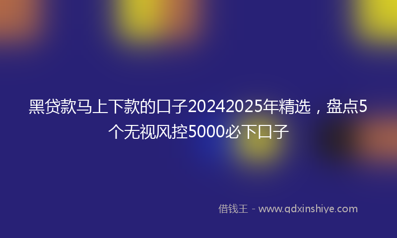黑贷款马上下款的口子20242025年精选，盘点5个无视风控5000必下口子