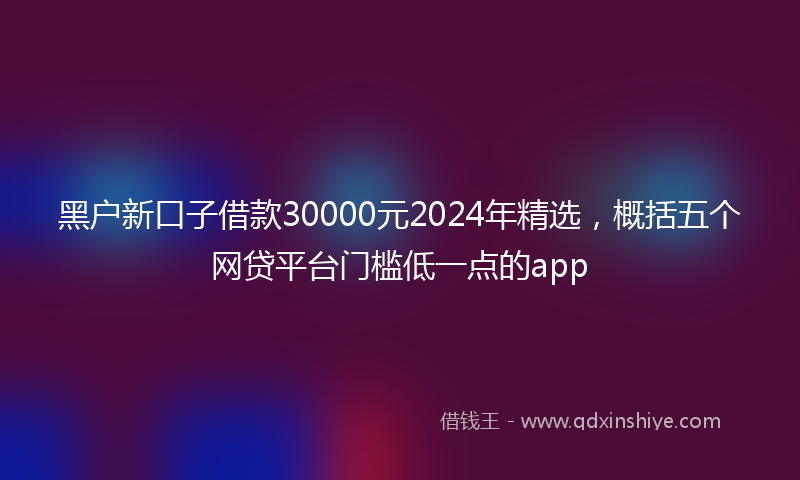 黑户新口子借款30000元2024年精选，概括五个网贷平台门槛低一点的app