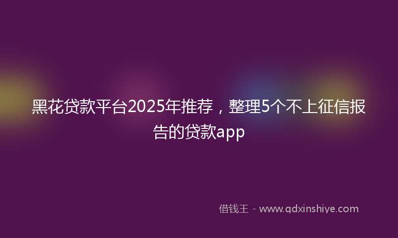 黑花贷款平台2025年推荐，整理5个不上征信报告的贷款app