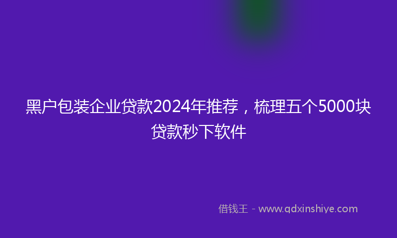 黑户包装企业贷款2024年推荐，梳理五个5000块贷款秒下软件