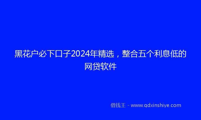 黑花户必下口子2024年精选，整合五个利息低的网贷软件