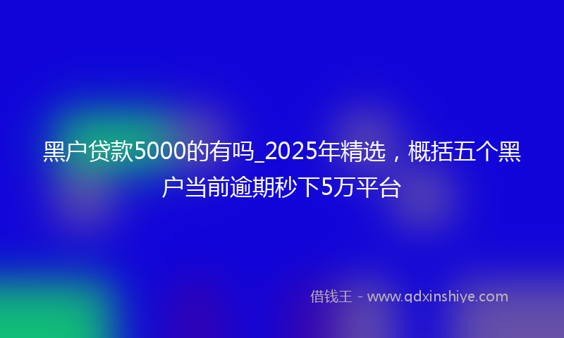 黑户贷款5000的有吗_2025年精选，概括五个黑户当前逾期秒下5万平台