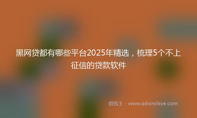 黑网贷都有哪些平台2025年精选，梳理5个不上征信的贷款软件