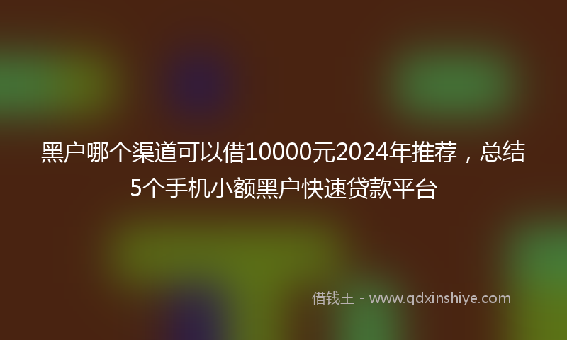 黑户哪个渠道可以借10000元2024年推荐，总结5个手机小额黑户快速贷款平台