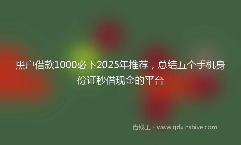 黑户借款1000必下2025年推荐，总结五个手机身份证秒借现金的平台