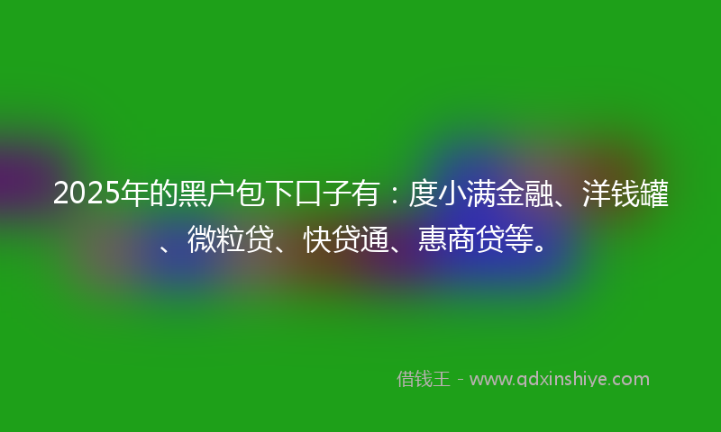 2025年的黑户包下口子有：度小满金融、洋钱罐、微粒贷、快贷通、惠商贷等。