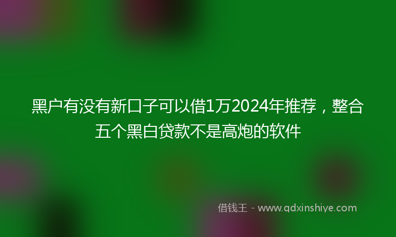 黑户有没有新口子可以借1万2024年推荐，整合五个黑白贷款不是高炮的软件