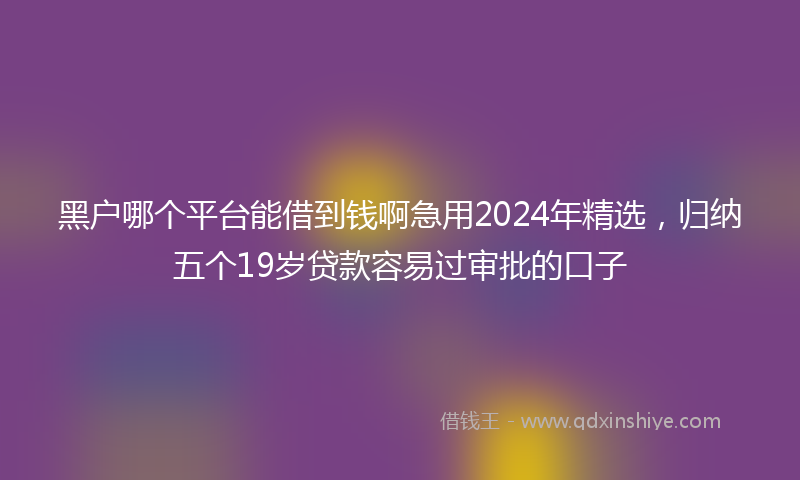 黑户哪个平台能借到钱啊急用2024年精选，归纳五个19岁贷款容易过审批的口子