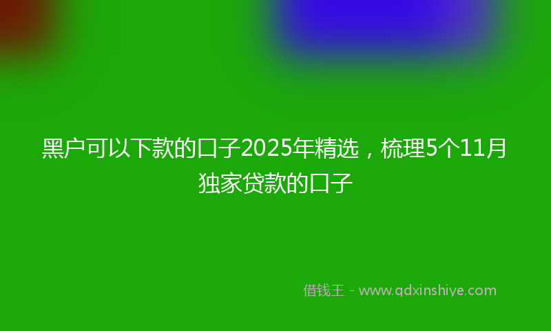 黑户可以下款的口子2025年精选，梳理5个11月独家贷款的口子