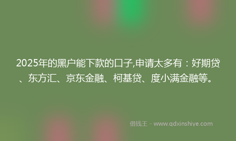 2025年的黑户能下款的口子,申请太多有：好期贷、东方汇、京东金融、柯基贷、度小满金融等。