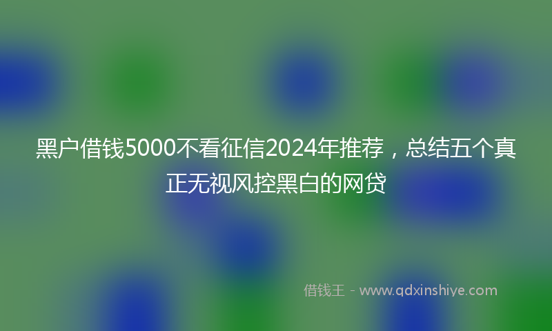 黑户借钱5000不看征信2024年推荐，总结五个真正无视风控黑白的网贷
