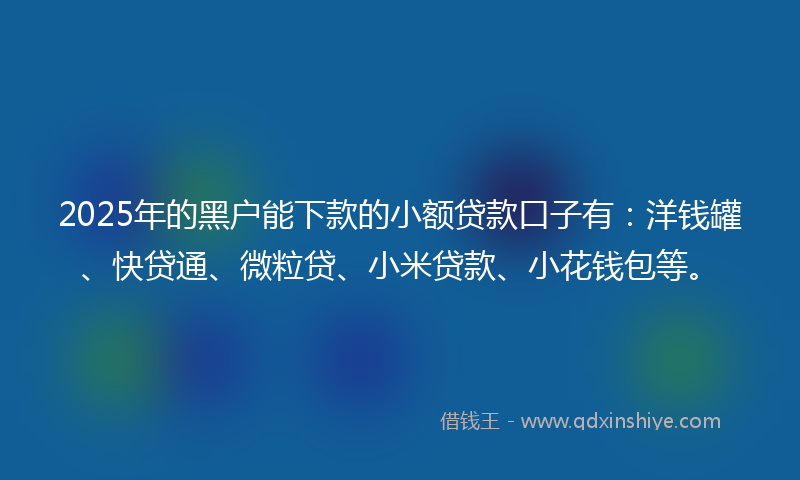 2025年的黑户能下款的小额贷款口子有：洋钱罐、快贷通、微粒贷、小米贷款、小花钱包等。