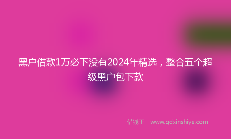 黑户借款1万必下没有2024年精选，整合五个超级黑户包下款