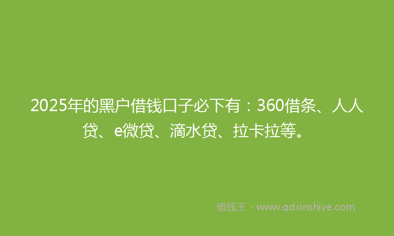 2025年的黑户借钱口子必下有：360借条、人人贷、e微贷、滴水贷、拉卡拉等。
