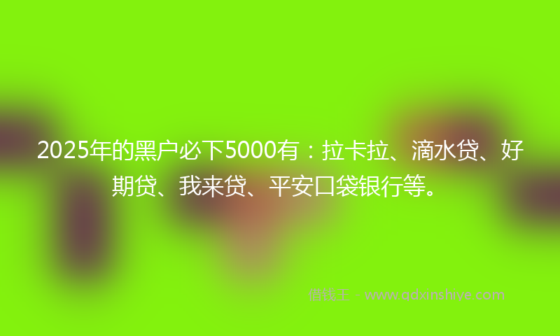 2025年的黑户必下5000有：拉卡拉、滴水贷、好期贷、我来贷、平安口袋银行等。