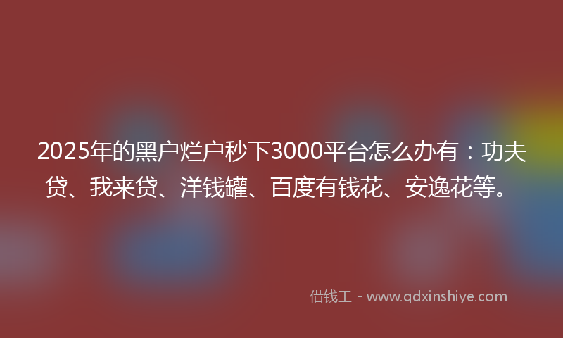 2025年的黑户烂户秒下3000平台怎么办有：功夫贷、我来贷、洋钱罐、百度有钱花、安逸花等。