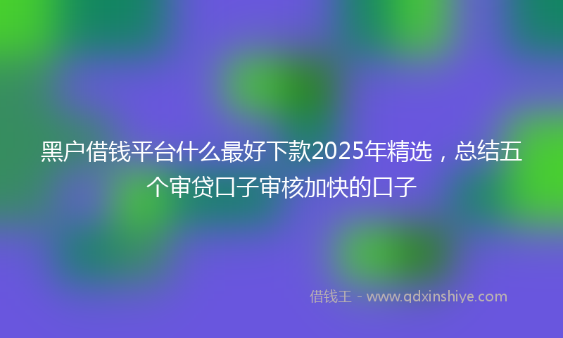 黑户借钱平台什么最好下款2025年精选，总结五个审贷口子审核加快的口子