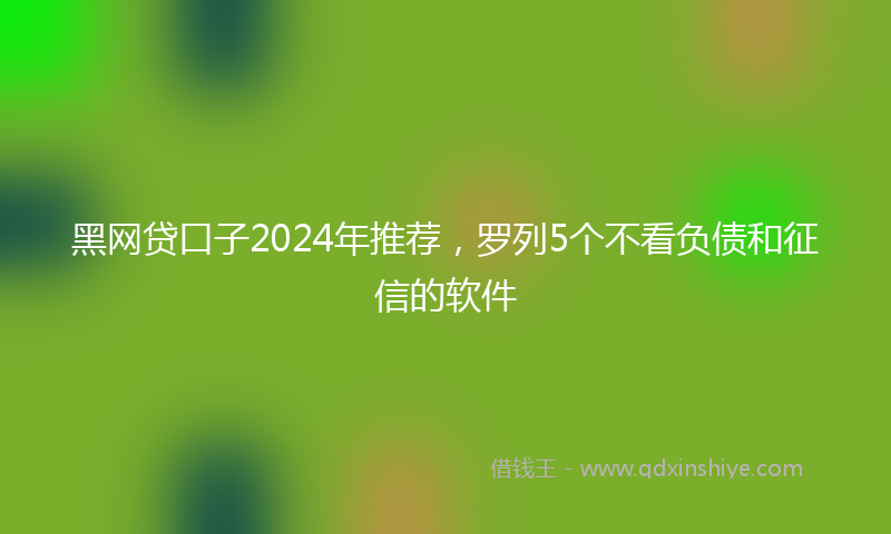 黑网贷口子2024年推荐，罗列5个不看负债和征信的软件