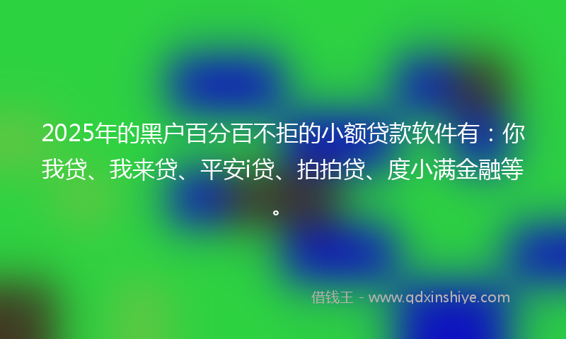 2025年的黑户百分百不拒的小额贷款软件有：你我贷、我来贷、平安i贷、拍拍贷、度小满金融等。