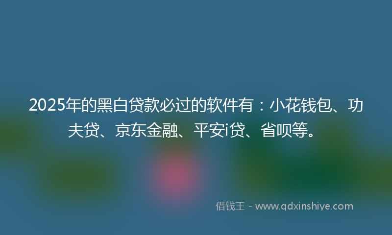 2025年的黑白贷款必过的软件有：小花钱包、功夫贷、京东金融、平安i贷、省呗等。