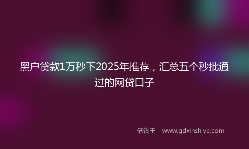 黑户贷款1万秒下2025年推荐，汇总五个秒批通过的网贷口子