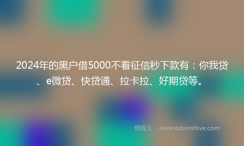 2024年的黑户借5000不看征信秒下款有：你我贷、e微贷、快贷通、拉卡拉、好期贷等。