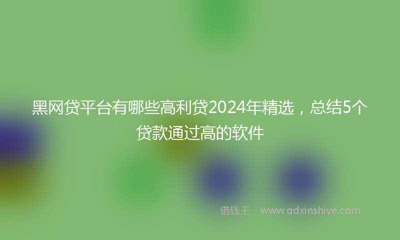 黑网贷平台有哪些高利贷2024年精选，总结5个贷款通过高的软件