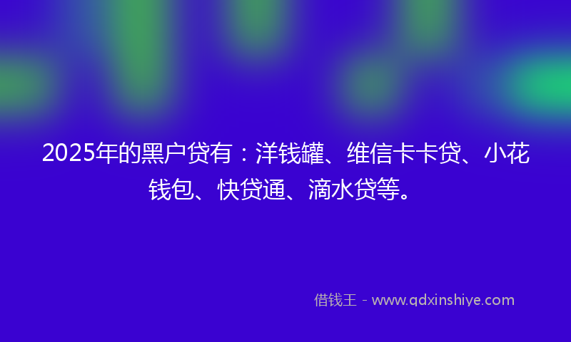 2025年的黑户贷有：洋钱罐、维信卡卡贷、小花钱包、快贷通、滴水贷等。