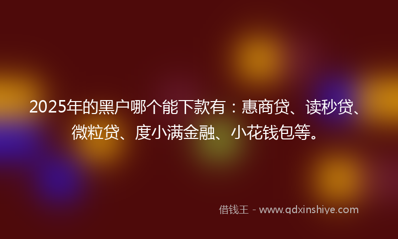 2025年的黑户哪个能下款有：惠商贷、读秒贷、微粒贷、度小满金融、小花钱包等。