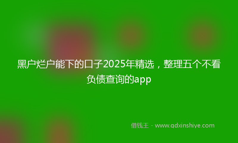 黑户烂户能下的口子2025年精选，整理五个不看负债查询的app
