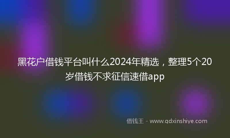 黑花户借钱平台叫什么2024年精选，整理5个20岁借钱不求征信速借app