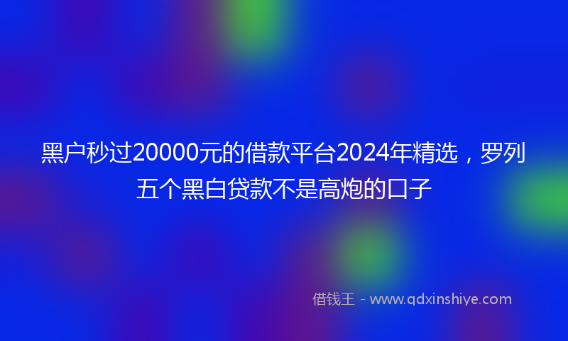 黑户秒过20000元的借款平台2024年精选，罗列五个黑白贷款不是高炮的口子
