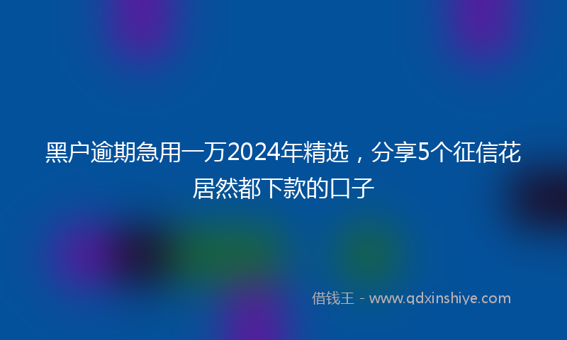 黑户逾期急用一万2024年精选，分享5个征信花居然都下款的口子