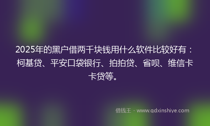 2025年的黑户借两千块钱用什么软件比较好有：柯基贷、平安口袋银行、拍拍贷、省呗、维信卡卡贷等。