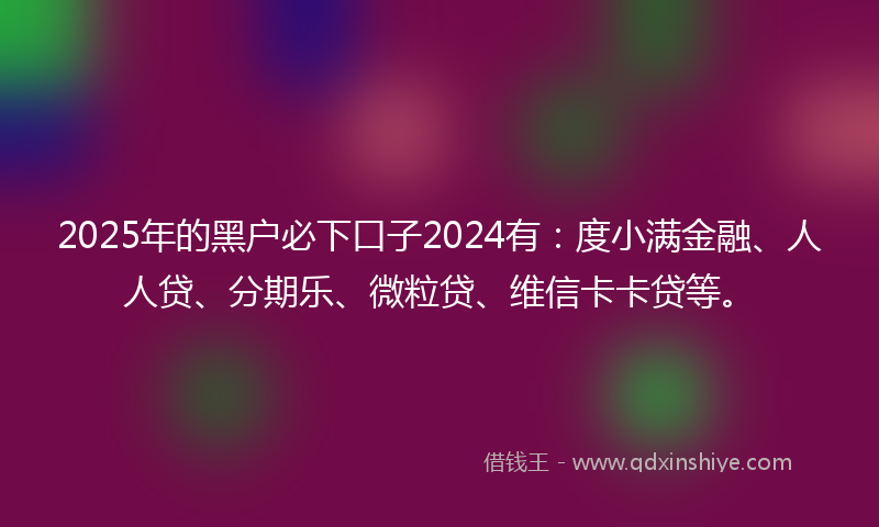 2025年的黑户必下口子2024有：度小满金融、人人贷、分期乐、微粒贷、维信卡卡贷等。