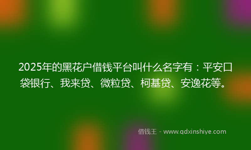 2025年的黑花户借钱平台叫什么名字有：平安口袋银行、我来贷、微粒贷、柯基贷、安逸花等。