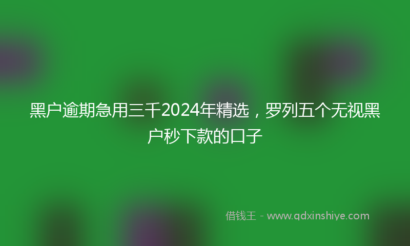 黑户逾期急用三千2024年精选，罗列五个无视黑户秒下款的口子