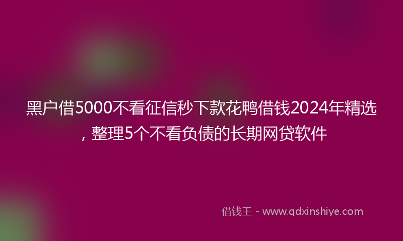 黑户借5000不看征信秒下款花鸭借钱2024年精选，整理5个不看负债的长期网贷软件