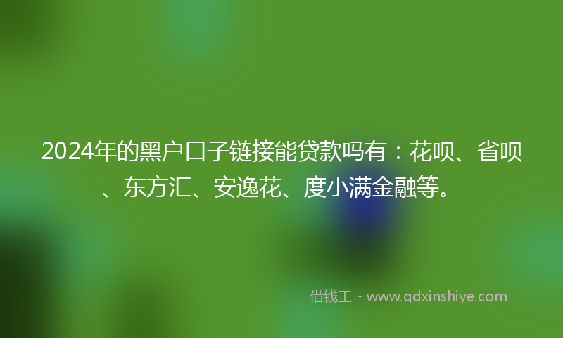 2024年的黑户口子链接能贷款吗有：花呗、省呗、东方汇、安逸花、度小满金融等。